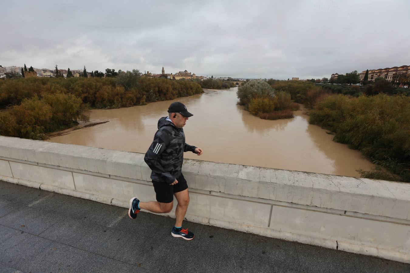 En imágenes, el Guadalquivir recupera el caudal a su paso por Córdoba