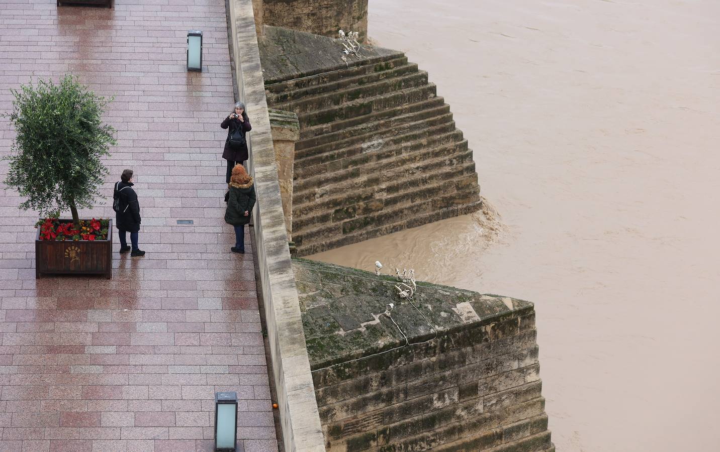 En imágenes, el Guadalquivir recupera el caudal a su paso por Córdoba