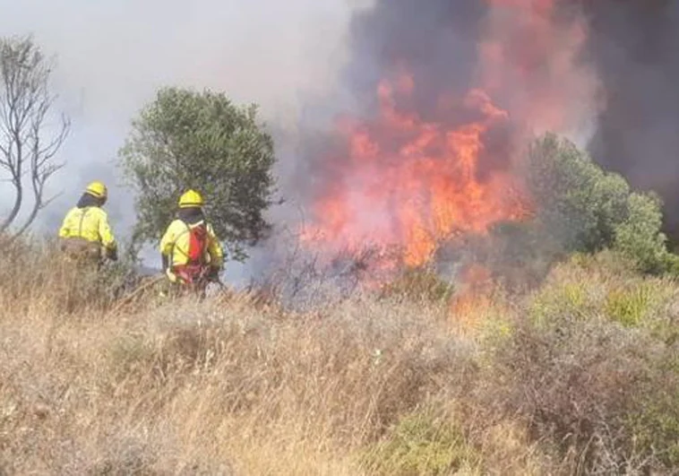 Castilla-La Mancha registra en lo que va de año 725 incendios forestales y 14.337 hectáreas quemadas