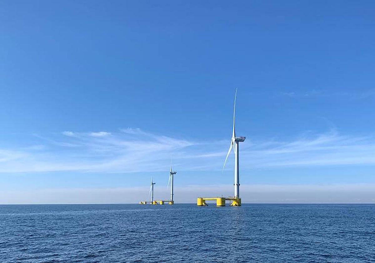 Un parque eólico marino