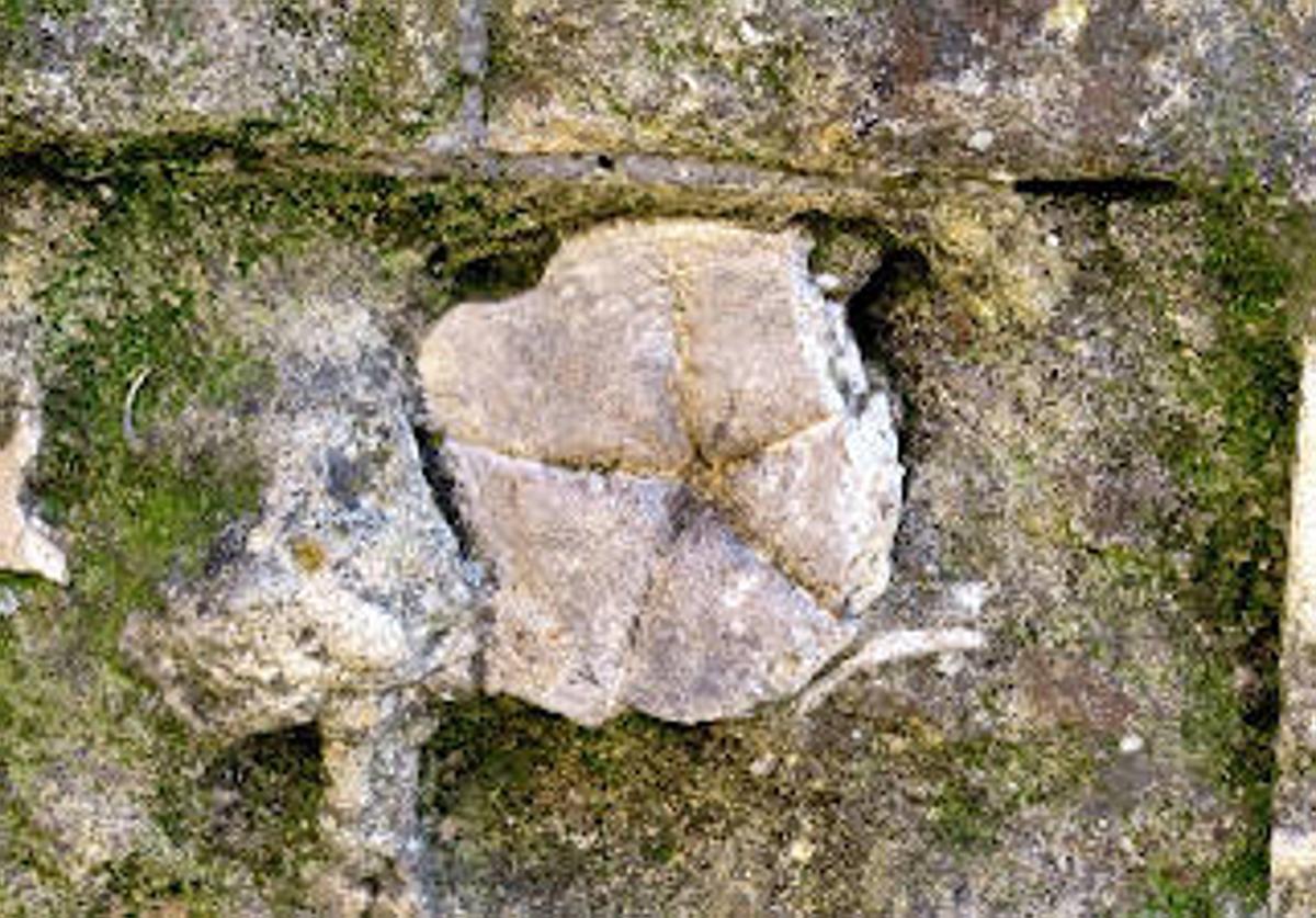 ¿Has tocado la Estrella de los Deseos de la Mezquita-Catedral de Córdoba?