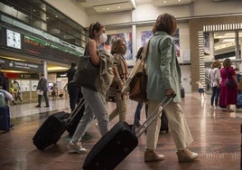 Renfe incluye el AVE Málaga-Madrid en su plan piloto para viajar con perros