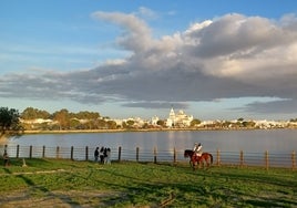 Las últimas lluvias calman la sed de Doñana