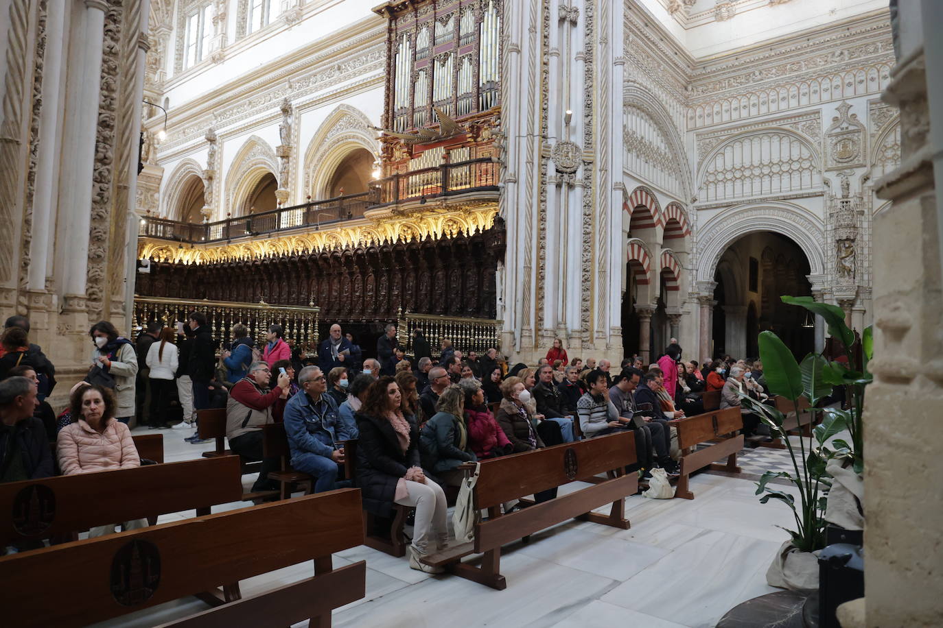 En imágenes, la misa de la solemnidad de Santa María en la Catedral de Córdoba