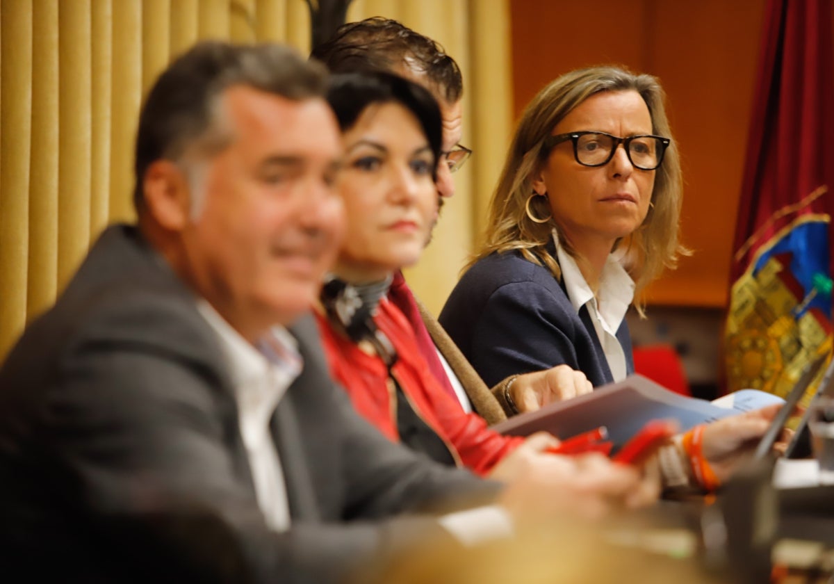 Albás, en la bancada de Ciudadanos