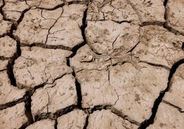 Andalucía necesita diez semanas más de lluvia para salir de la sequía