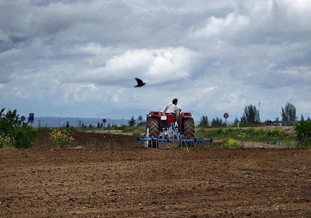 Los agricultores de Ciudad Real reclaman más medidas que eviten los robos en sus explotaciones