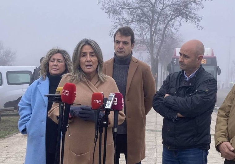 El auditorio del Parque de las Tres Culturas de Toledo tendrá una cubierta para usarse también en invierno