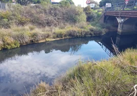 Un vertido de aguas residuales llega al Caño Culata en Nuevo Portil