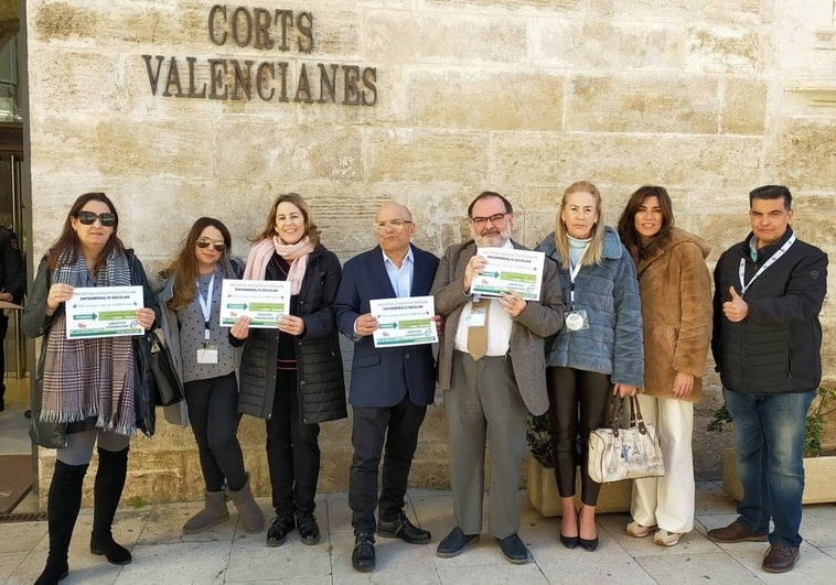 El debate sobre la enfermera escolar llega a las Cortes Valencianas