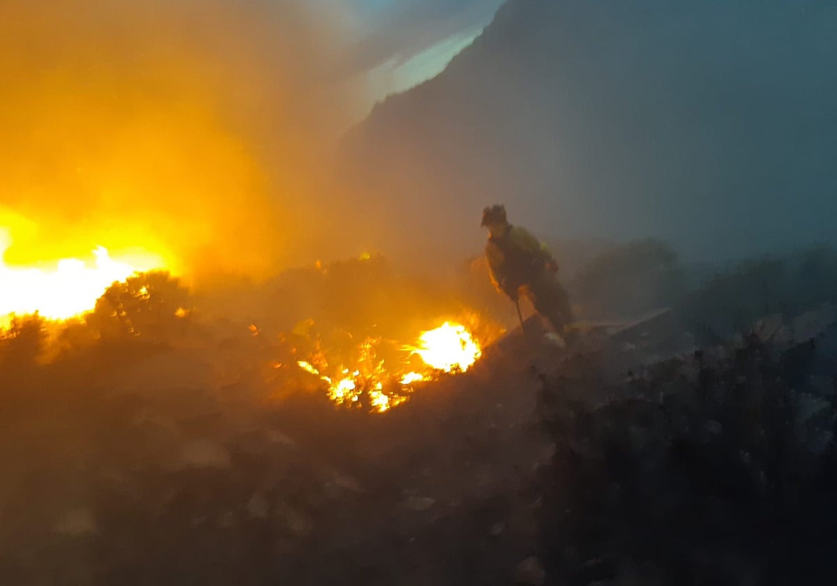 Efectivos del Infoca durante las tareas de extinción en Lubrín.