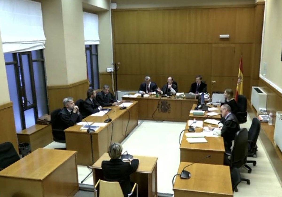 La teniente de alcalde de Pineda de Mar (Barcelona), durante el juicio por coacciones a la Policía