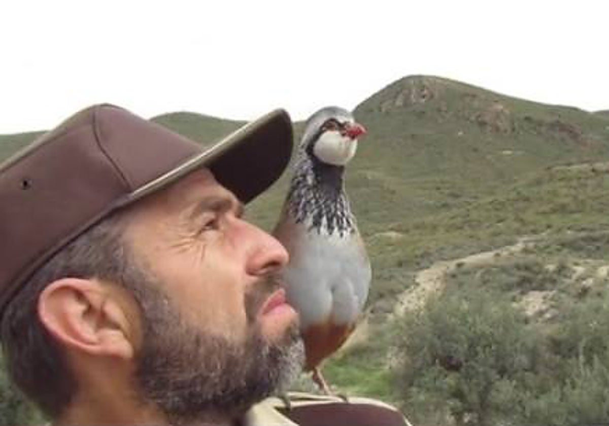 Juan Carlos con la perdiz Camarón sobre su hombro