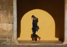 El tiempo en Córdoba | Llega el día más frío del invierno con el termómetro rozando los cero grados