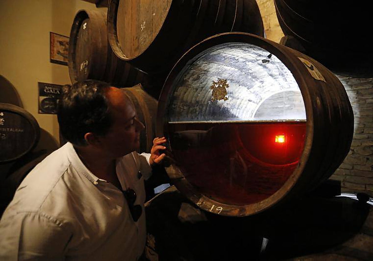 Un barril de vino en una bodega del marco Montilla-Moriles