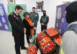 Golpe al narcotráfico desde Córdoba | Bolas de droga que emulaban ser tomates; así se camuflaron más de 22 toneladas de hachís