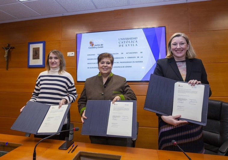 Castilla y León baraja incorporar medidas en su nueva ley contra la violencia de género para paliar efectos de la del 'Solo sí es sí'