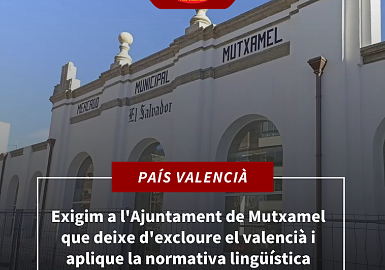 Denuncian a ayuntamientos de Alicante por rotular en español espacios públicos