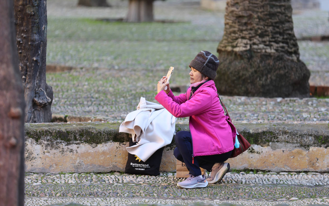 Un día de intenso frío en Córdoba, en imágenes