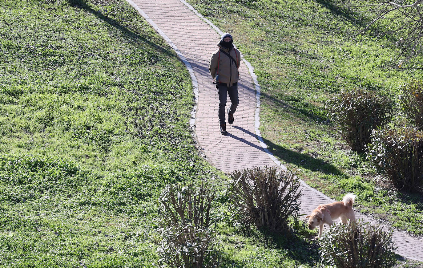 Un día de intenso frío en Córdoba, en imágenes