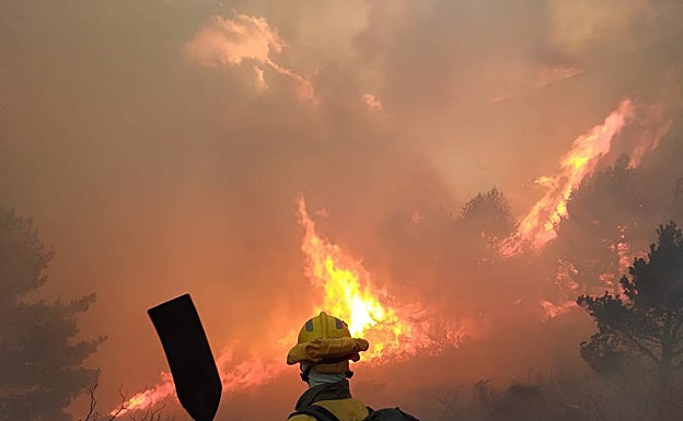 Brigadas del Puerto el Pico, en Ávila, atienden el incendio