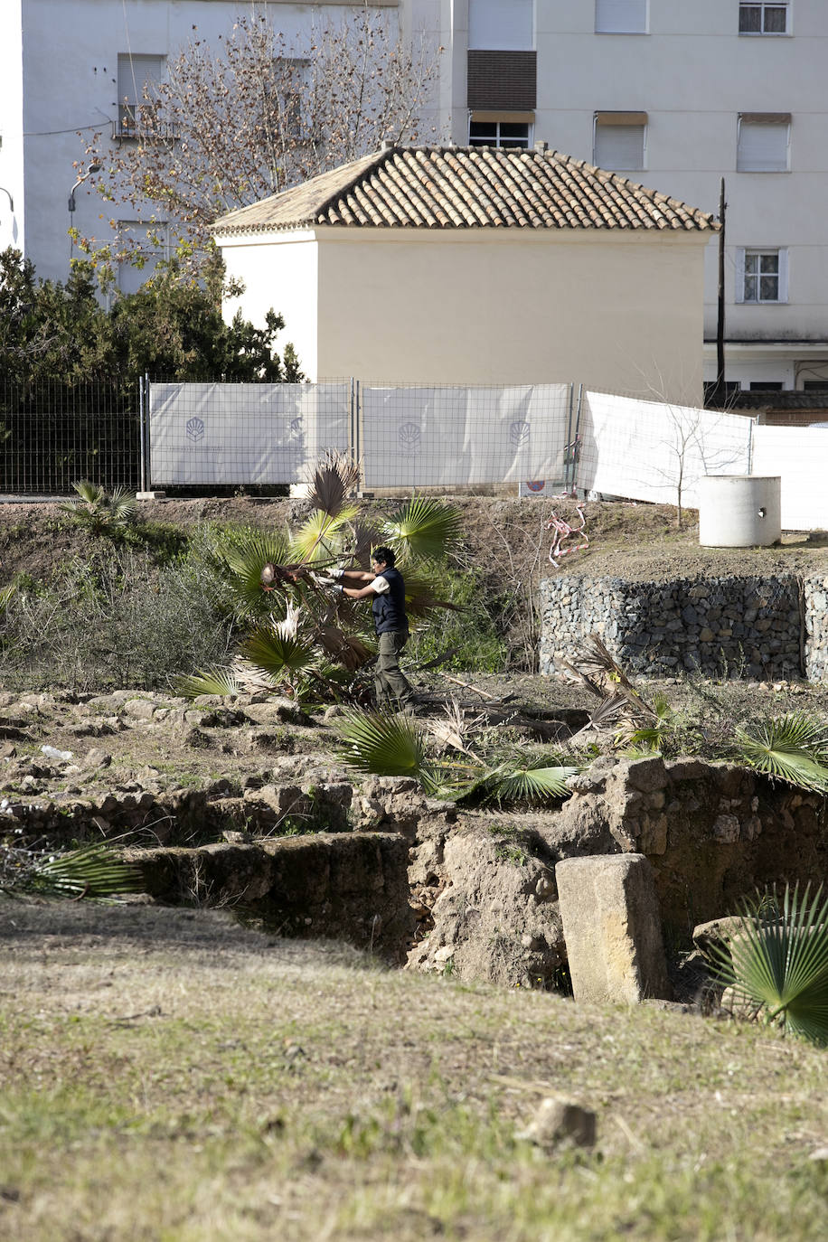 La limpieza del anfiteatro romano de Córdoba, en imágenes