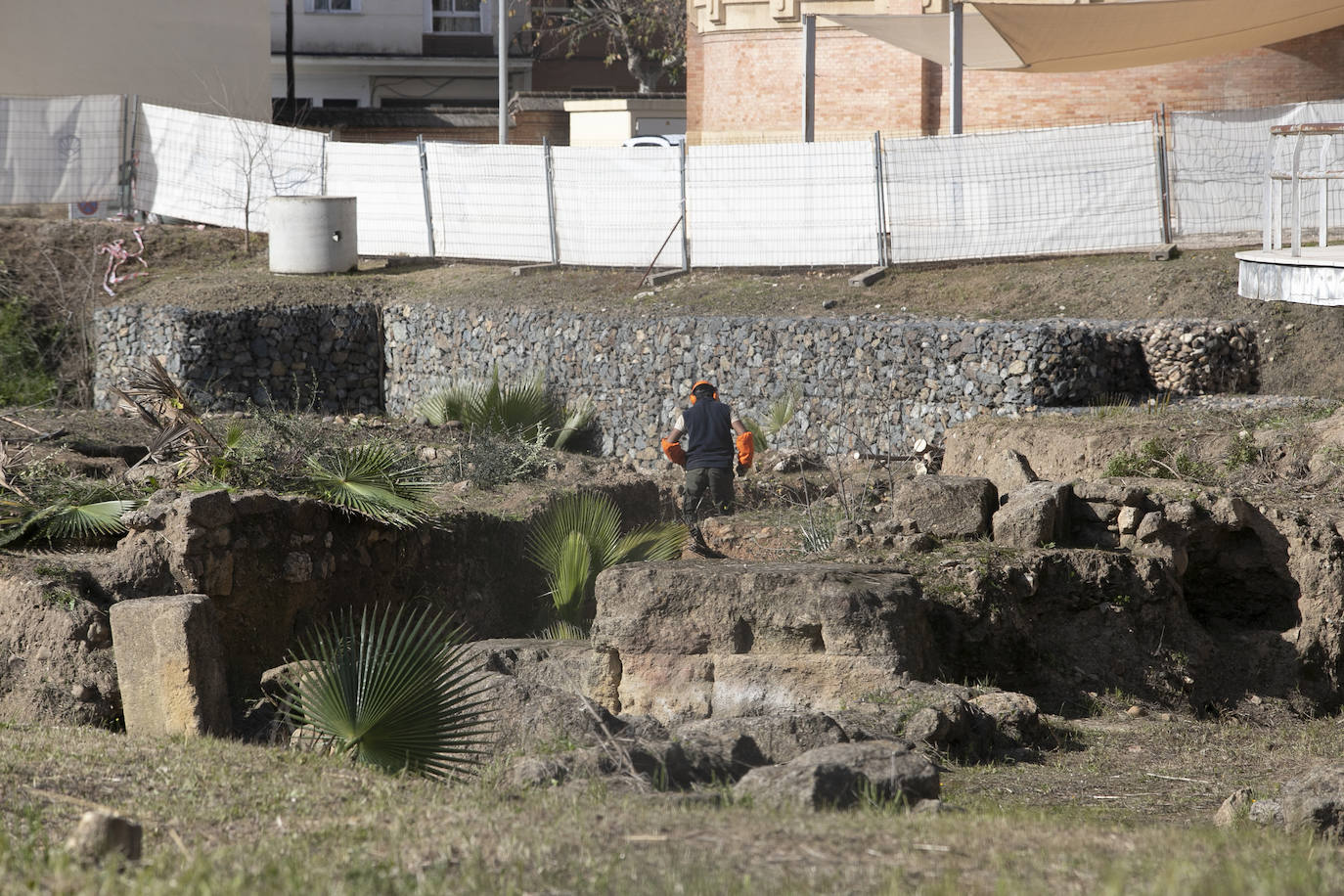 La limpieza del anfiteatro romano de Córdoba, en imágenes
