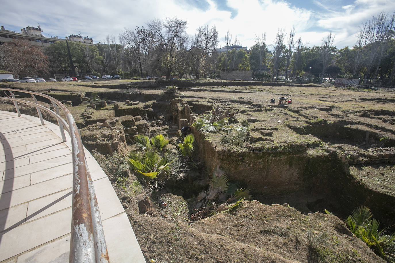 La limpieza del anfiteatro romano de Córdoba, en imágenes