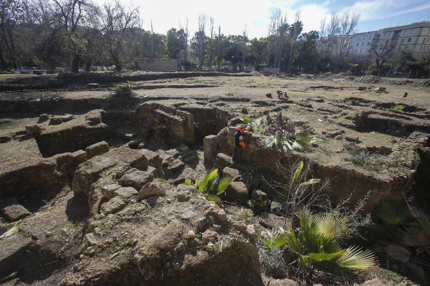 La limpieza del anfiteatro romano de Córdoba, en imágenes