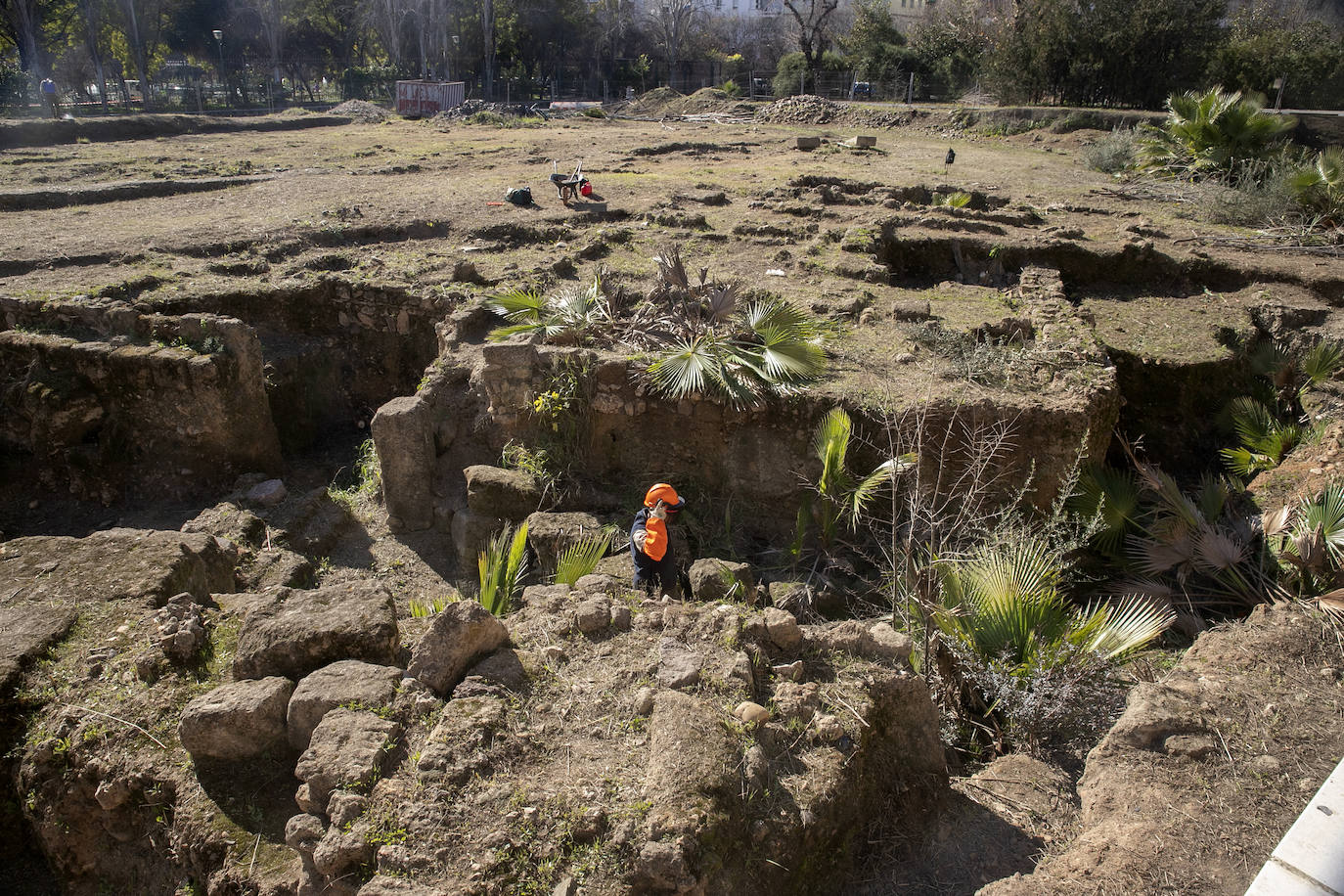La limpieza del anfiteatro romano de Córdoba, en imágenes