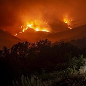 Un estudio de la USC concluye que el monte arde «porque a alguien le interesa»