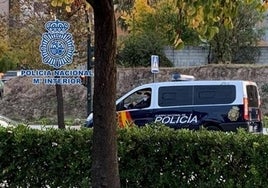 La Policía rescata a un hombre secuestrado en el maletero de un coche tras recibir una paliza con un bate de béisbol en Granada