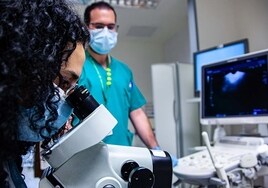 Más de 48.000 personas serán diagnosticadas de cáncer en Andalucía este 2023