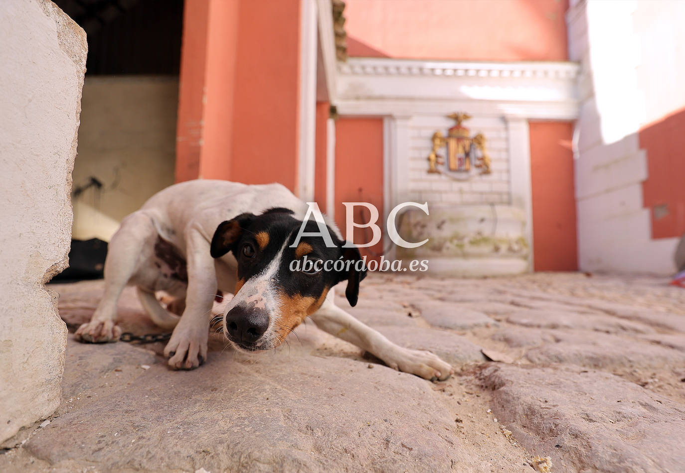 Palacio de Moratalla | Las mejores imágenes del interior