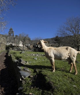 Imagen secundaria 2 - Sobre estas líneas, una vista de la aldea, en la que muere la única carretera de acceso a ella. Abajo, la tumba de Martin, a la entrada del pueblo, y una de las cabras que Margo cría con la iglesia de fondo