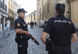 Los 'GOR', policías nacionales preparados para la acción