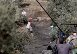 El campo de Córdoba clama contra la quinta subida consecutiva del salario mínimo