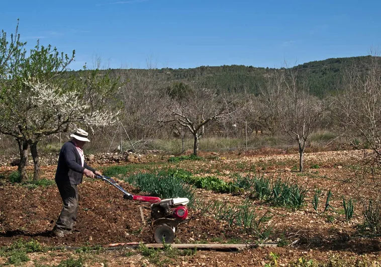 La profesión de agricultor envejece más en Valencia que en el resto de España: la mitad de ayudas del PAC van a mayores de 65 años