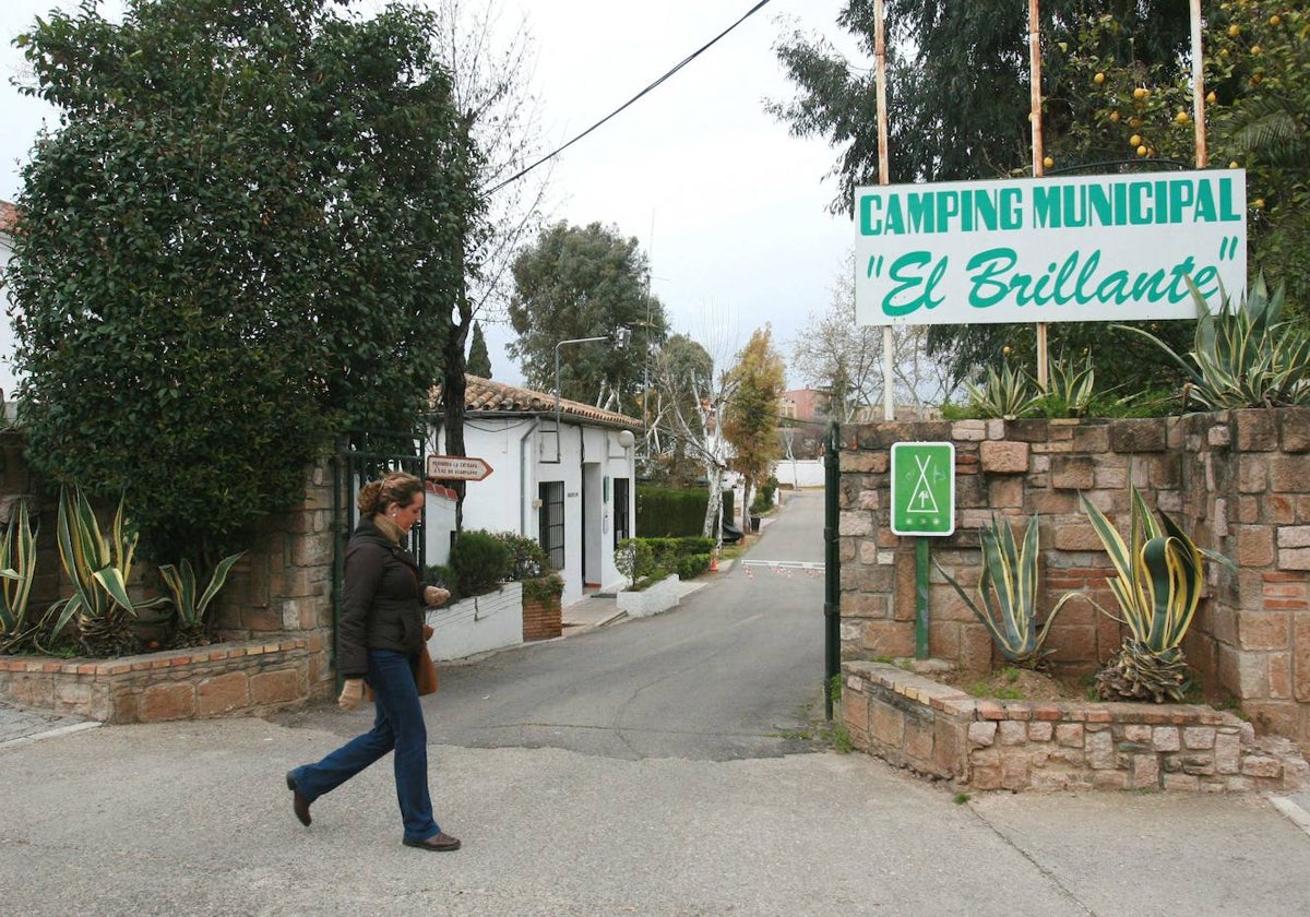 Una de las facturas falsas emitidas aludía al arreglo de palmeras en el camping municipal, que no tiene