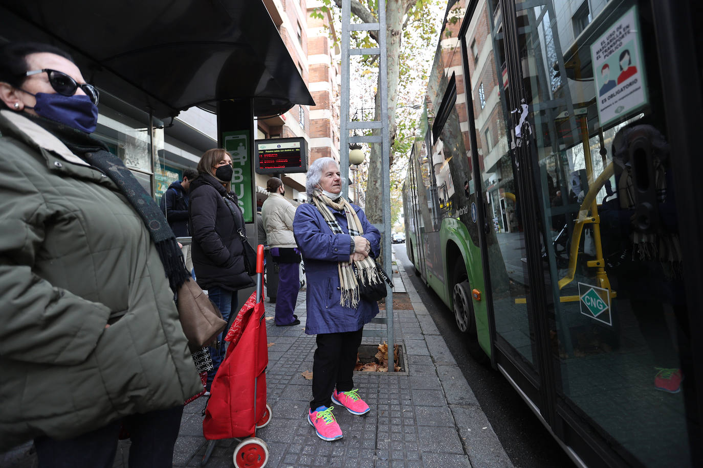 El primer día sin mascarillas en el transporte público de Córdoba, en imágenes