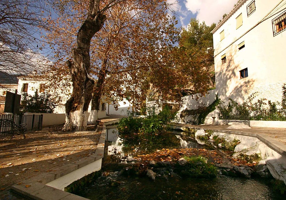 El estanque del manantial de Zagrilla Alta