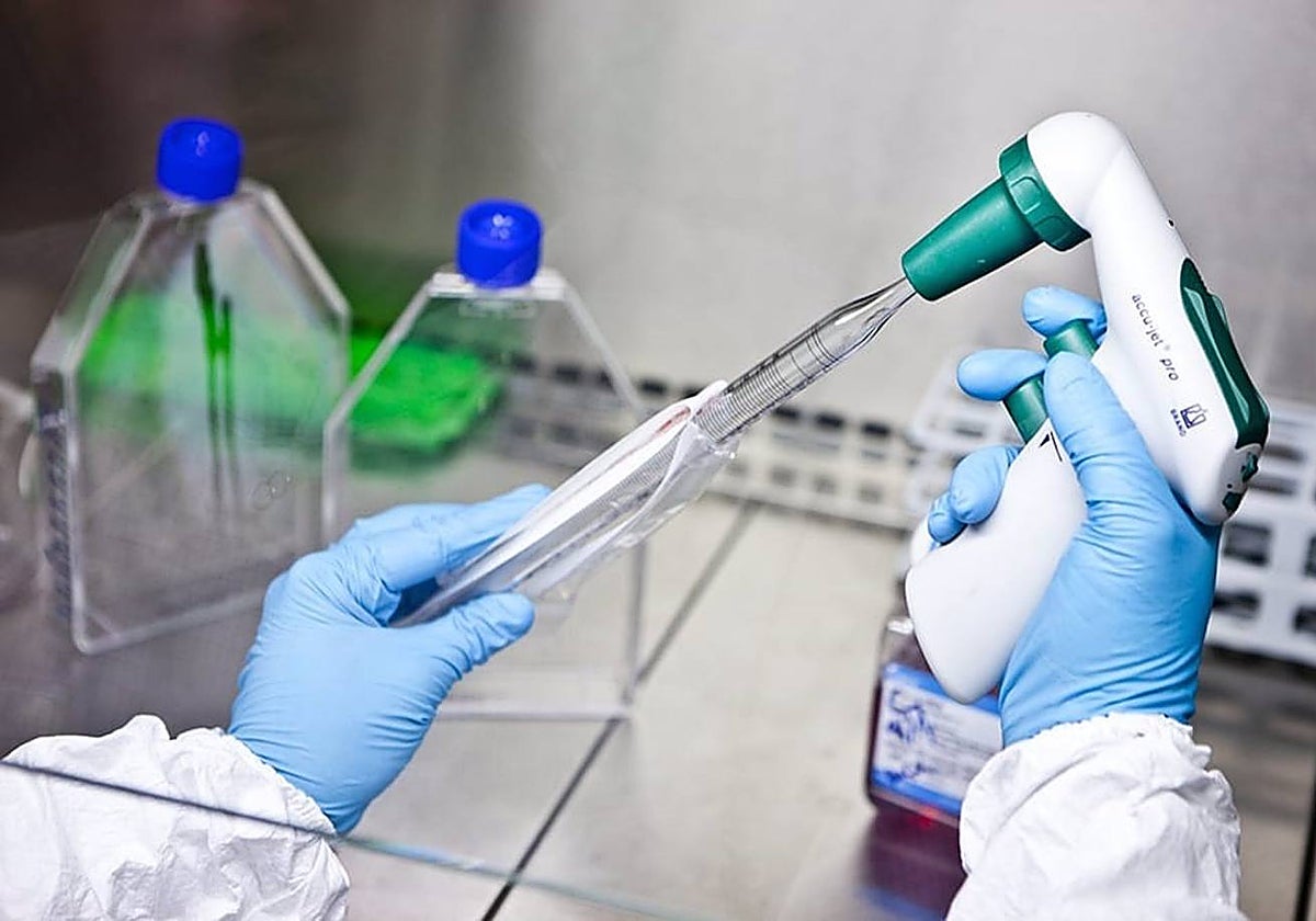 La Junta pone a disposición seis millones para proyectos universitarios y de I+D sobre biodiversidad