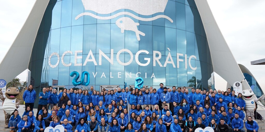 Oceanogràfic Valencia: 20 años la vida en el mar