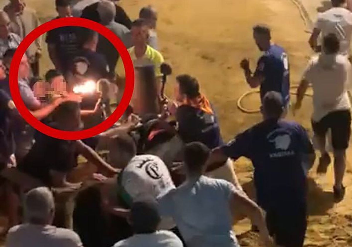 Imagen difundida por AnimaNaturalis sobre la participación de menores en el toro embolado en Nàquera.