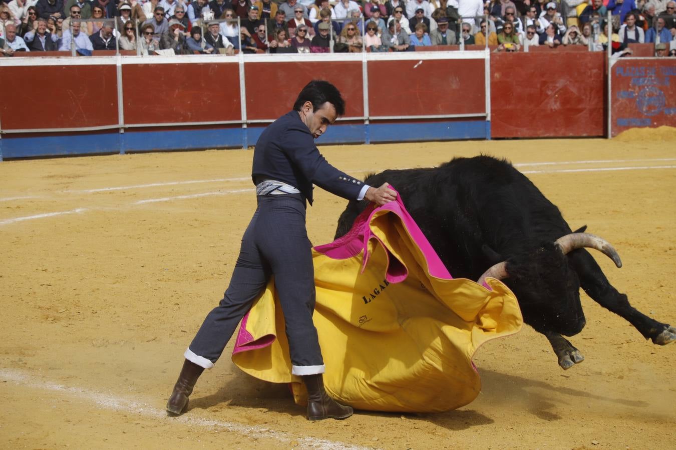 En imágenes, Bujalance abre temporada taurina con un homenaje a El Puri (II)
