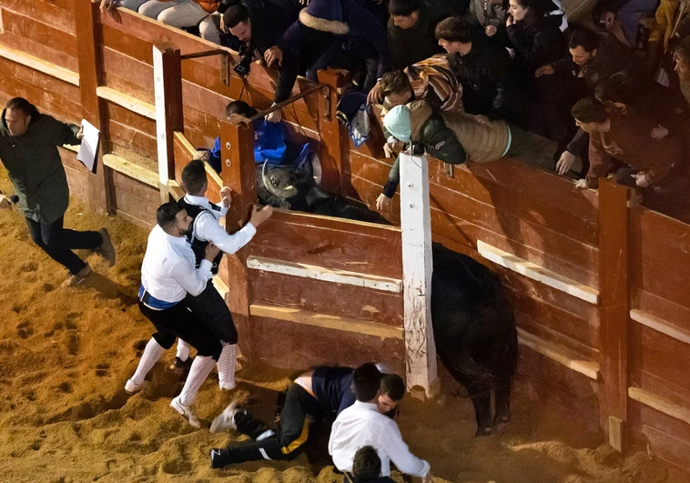 Un toro salta al burladero y deja tres heridos en el concurso de recortes nocturno en Ciudad Rodrigo