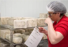 Silvia Peláez, la empresaria que dejó una multinacional para hacer el mejor queso del mundo