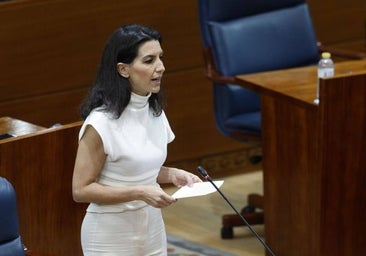 Vox aprieta a Ayuso: pide derogar la 'ley trans' regional y condiciona su apoyo a la rebaja fiscal a inversores a una bajada general del IRPF