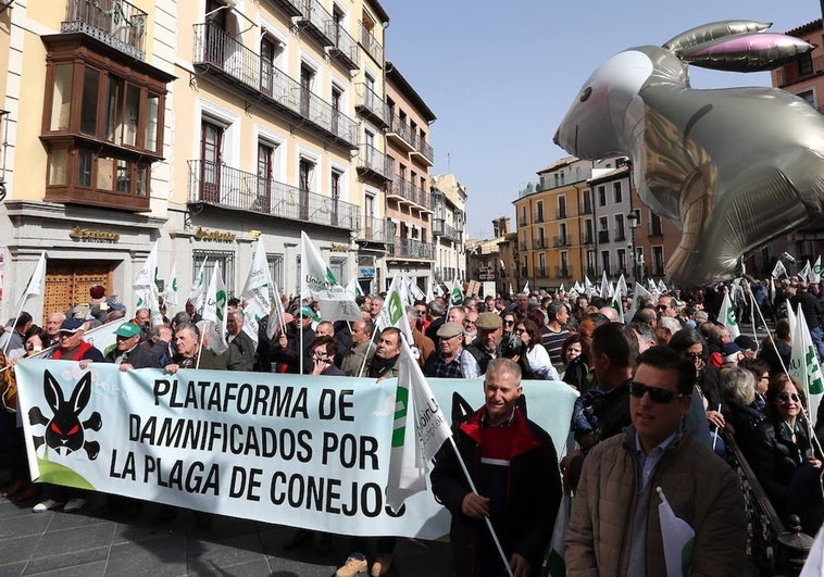 Enfado, conejos y consignas por las calles de Toledo