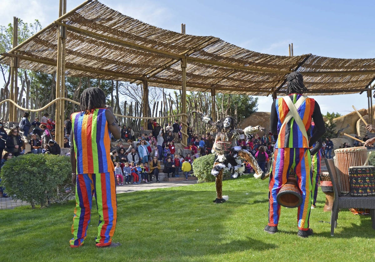 Bioparc celebra sus 15 años en Valencia con tarta para los animales y actividades para los visitantes